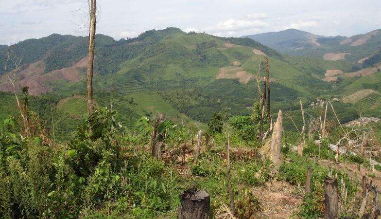 Shifting cultivation landscape in Laos