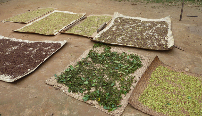 Dried cloves
