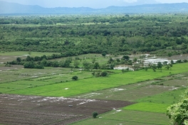 Irrigated paddy rice landscape in Myanmar