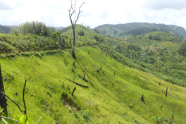 Field mission in Madagascar