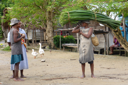 Field mission in Madagascar