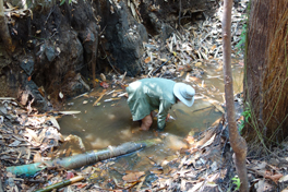 Fieldwork in Myanmar