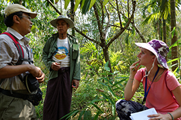 Fieldwork in Myanmar
